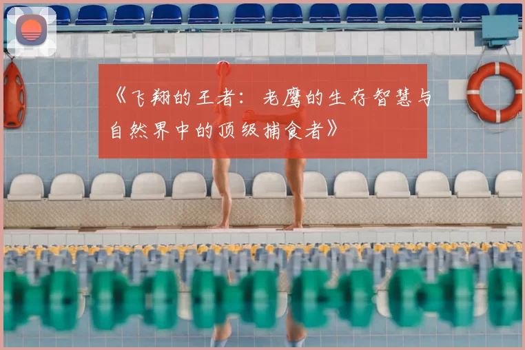 《飞翔的王者：老鹰的生存智慧与自然界中的顶级捕食者》