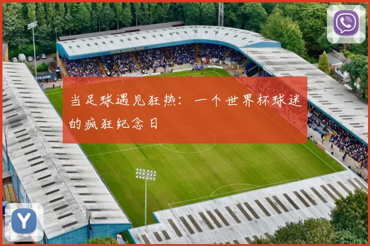 当足球遇见狂热:一个世界杯球迷的疯狂纪念日