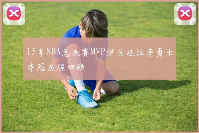 15年NBA总决赛MVP伊戈达拉率勇士夺冠历程回顾