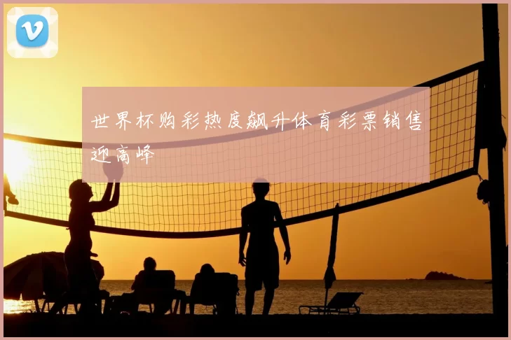 世界杯购彩热度飙升体育彩票销售迎高峰