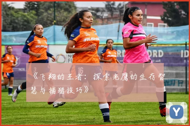 《飞翔的王者：探索老鹰的生存智慧与捕猎技巧》