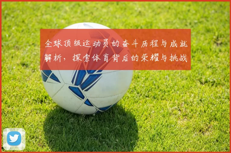 全球顶级运动员的奋斗历程与成就解析，探索体育背后的荣耀与挑战