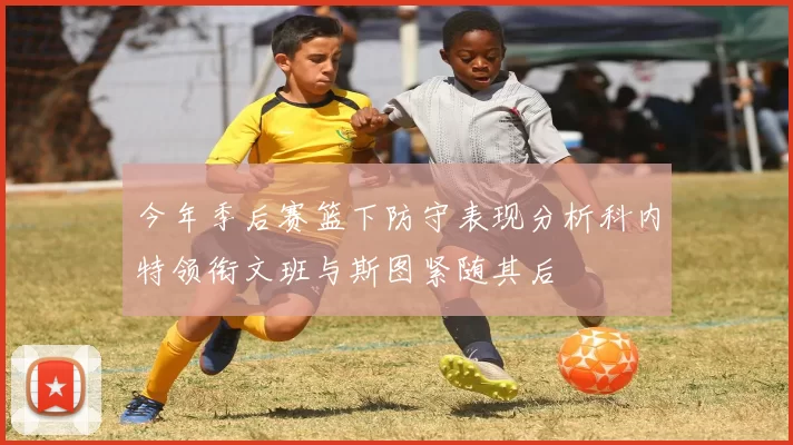 今年季后赛篮下防守表现分析科内特领衔文班与斯图紧随其后