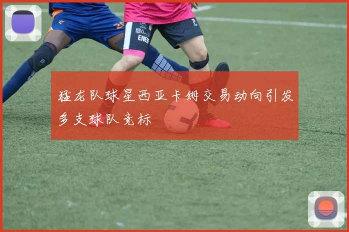 猛龙队球星西亚卡姆交易动向引发多支球队竞标