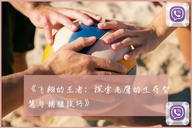 《飞翔的王者：探索老鹰的生存智慧与捕猎技巧》