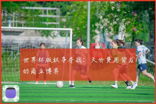 世界杯版权争夺战：天价费用背后的商业博弈