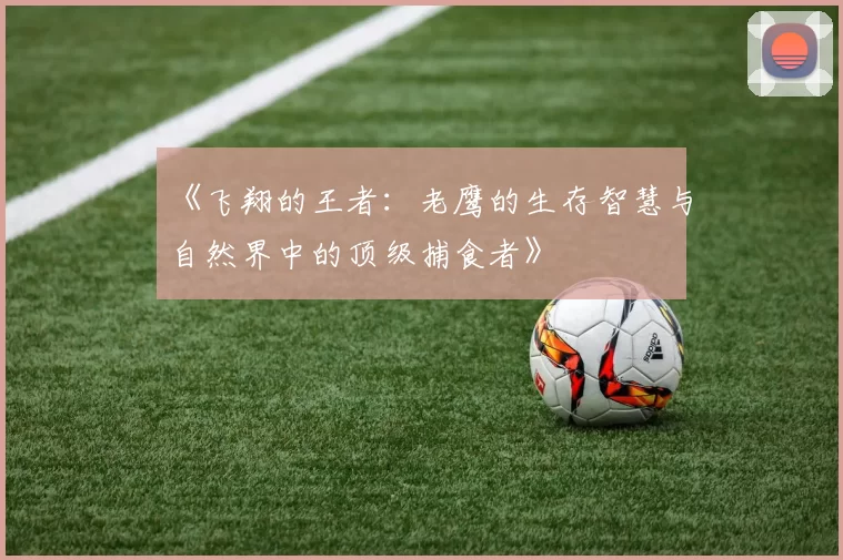 《飞翔的王者：老鹰的生存智慧与自然界中的顶级捕食者》