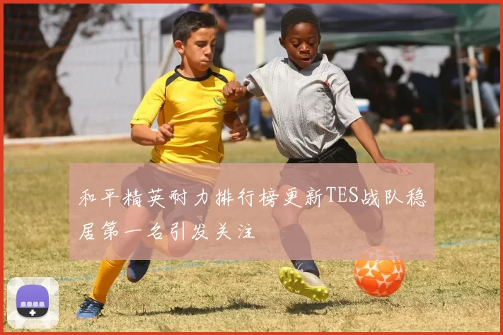 和平精英耐力排行榜更新TES战队稳居第一名引发关注