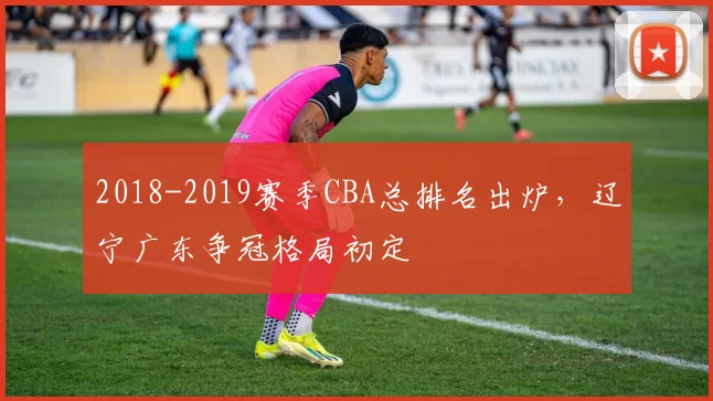 2018-2019赛季CBA总排名出炉，辽宁广东争冠格局初定